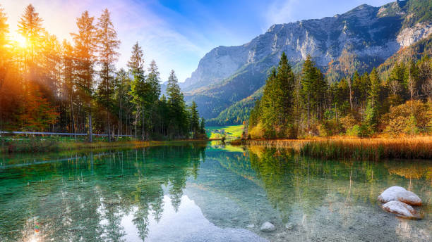 image paysage lac et foret